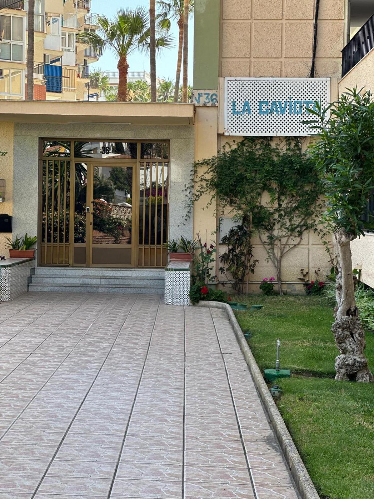 Apartment Gaviotas